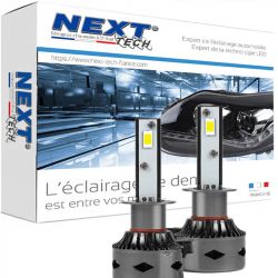 2x Modules anti-erreur pour kit LED H1 - Voiture Multiplexée - 12V -  France-Xenon
