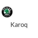 Karoq 2017 à 2023